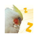 かわいい寝ている鳥のテーマ [Cute Sleeping Birds Theme]  screen for extension Chrome web store in OffiDocs Chromium